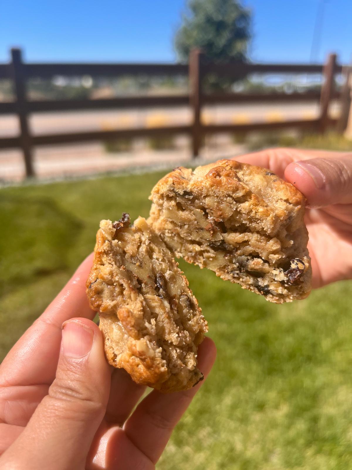 Oatmeal Raising Cookie