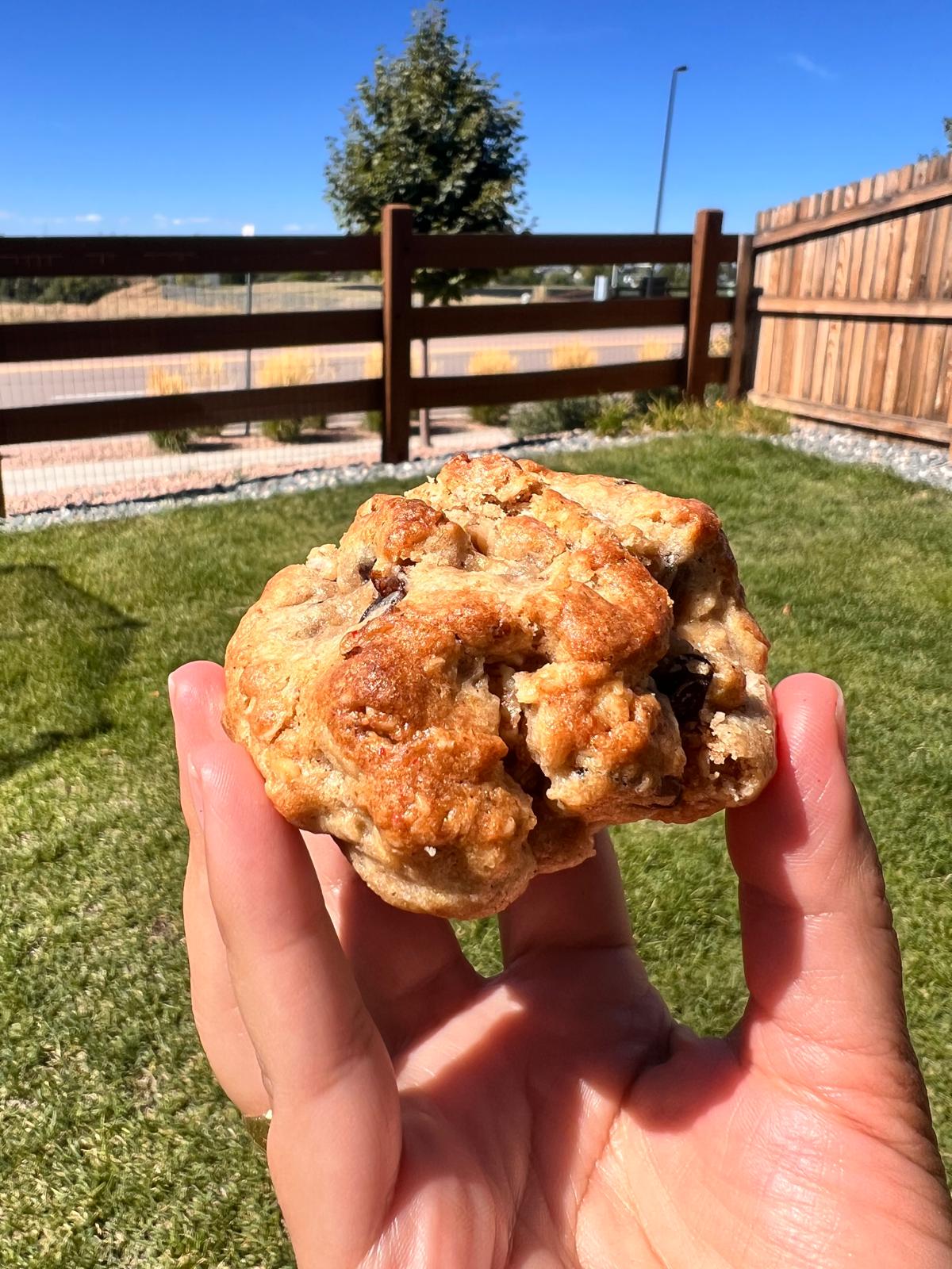 Oatmeal Raising Cookie